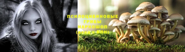 соль курить ск Алексеевка