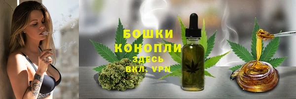 сатива Алзамай