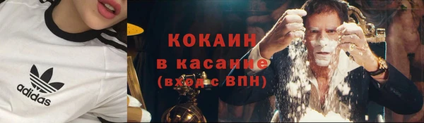 сатива Алзамай