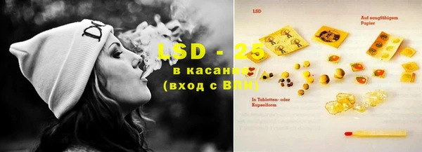 сатива Алзамай