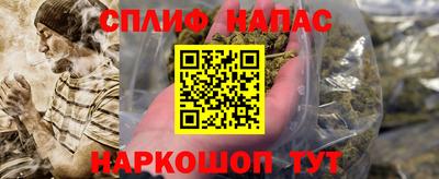 соль ск Славгород