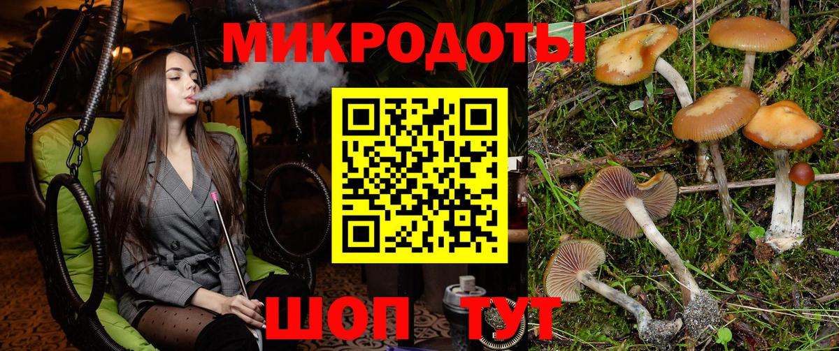 Североуральск  Галлюциногенные грибы Psilocybine cubensis  Вход с VPN 